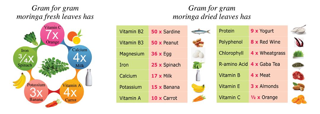 moringa powder nutrition value